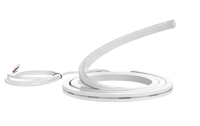 Neostrip 15W/m RGB 2,4m/2m kabel Driver niet inbegrepen