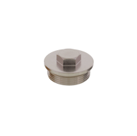 Blindstop chroom, met metrische draad M30