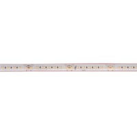 GRAZIA PRO FLEXSTRIP, 24 V 2700-6500 K IP55