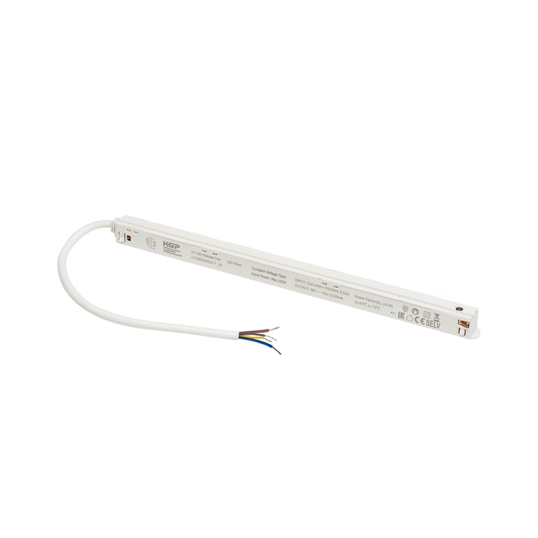 Intrack voeding, 48V TRACK 100W, incl. DALI-doorlusbedrading, wit