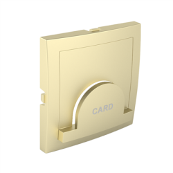 Efapel Centrumplaat Voor Kaartsysteem Tbv Tijdklokschakelaar Goud