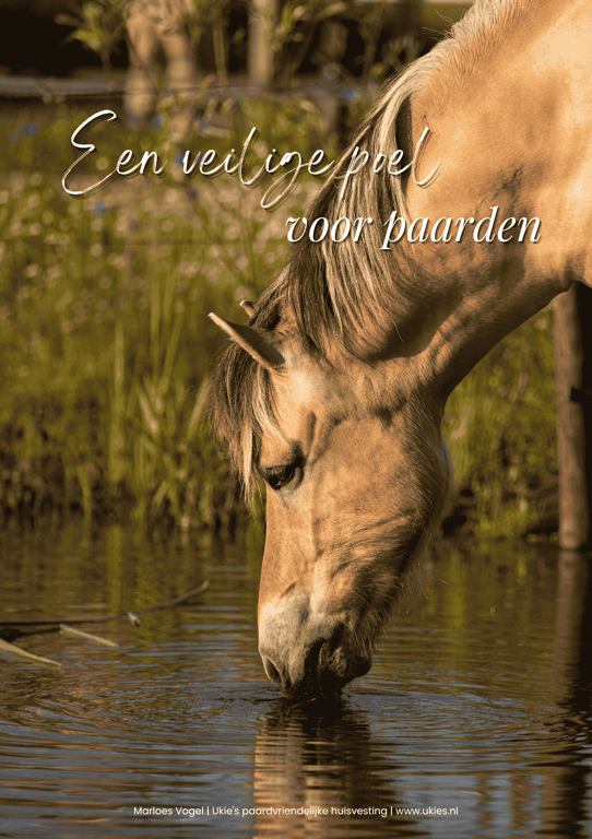 E-book een veilige poel voor paarden