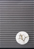 Design vloerkleed Woodnotes New York Black Stone 118915