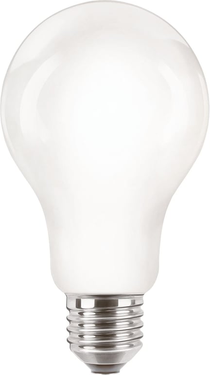 LED classic 120W A67 E27 WW FR NDRFSRT4