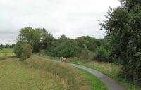 Wildplukwandeling volwassene