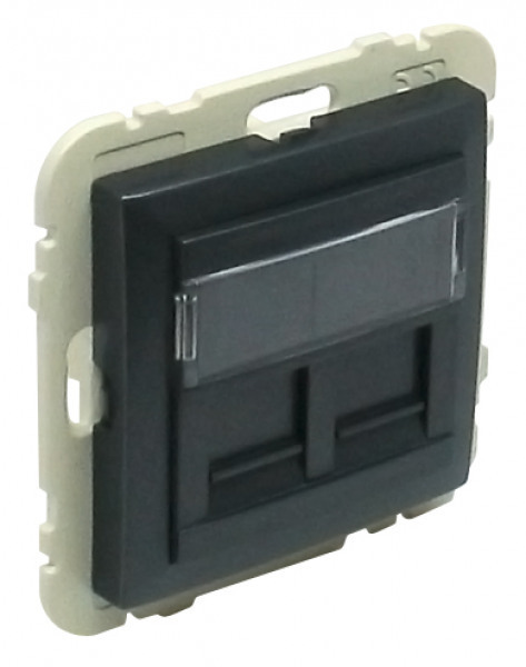 Efapel sokkel en centraalplaat tbv 2*rj45 donker grijs