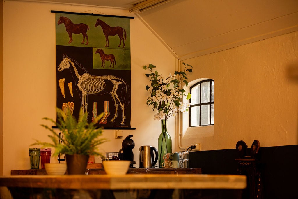 Themadag planten en passive physio
