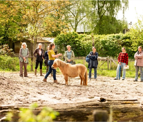 Wildplukworkshop Landgoed de Bossenhoeve