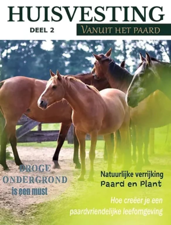 Magazine Vanuit het paard deel 2