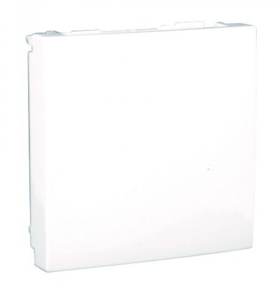 Blindplaat 2 Modules Wit