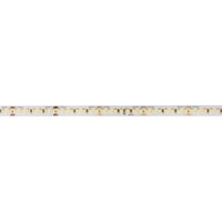 GRAZIA PRO FLEXSTRIP, 24 V 10 mm 5 m 9100 lm 4000 K