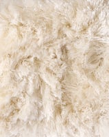 Glossy Hoogpolig vloerkleed wit Valerie