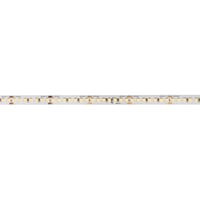 GRAZIA PRO FLEXSTRIP, 24 V 10 mm 5 m 9100 lm 6500 K