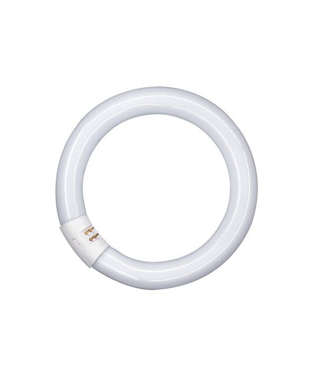 Osram L 22W rond 840 216mm diam 29mm Lumilux Interna