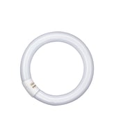 Osram L 22W rond 840 216mm diam 29mm Lumilux Interna
