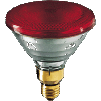 Philips IR lamp 100W E27 230V PAR38 Rood glas