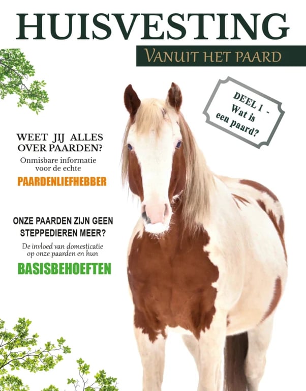 Magazine Vanuit het paard deel 1