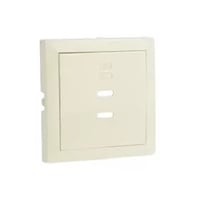 Usb dubbele opladerplaat type creme