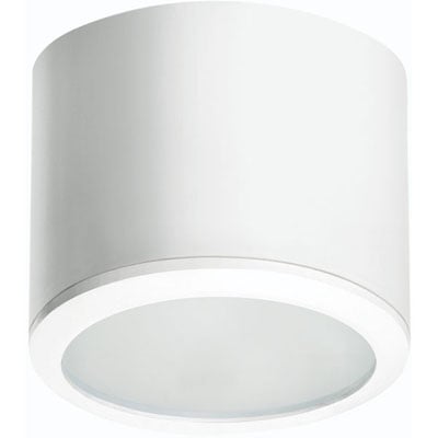 KLEMKO DL-PET17W-V1-NW - Opbouw Ledarmatuur downlighter. 17W, 4000K