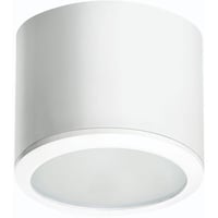 KLEMKO DL-PET17W-V1-NW - Opbouw Ledarmatuur downlighter. 17W, 4000K