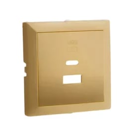 Usb dubbele opladerplaat type a en c goud