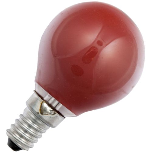 Masterlight - Gloeilamp Kogel 25W E14 rood S419951455