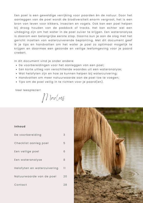 E-book een veilige poel voor paarden