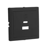 Usb dubbele opladerplaat type a en type c mat zwart