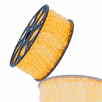 LED lichtslang 13mm || 230V | 50m | 36 LED/m | amber