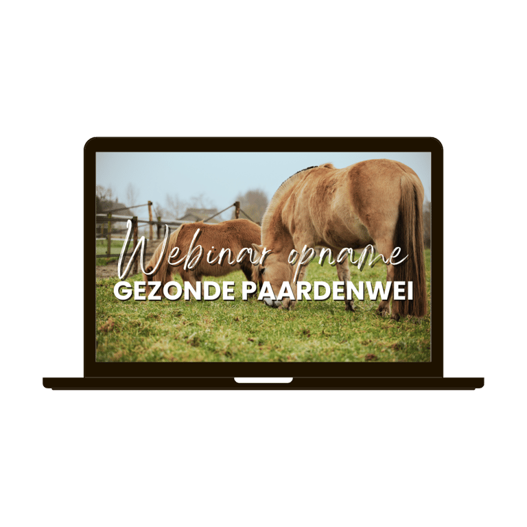 Masterclass de gezonde paardenweide