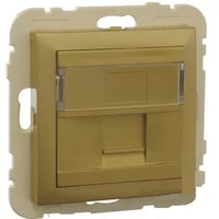Efapel Sokkel En Centraalplaat Tbv 1*Rj45 Goud