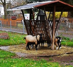 Tierpark am See des Sommercamps