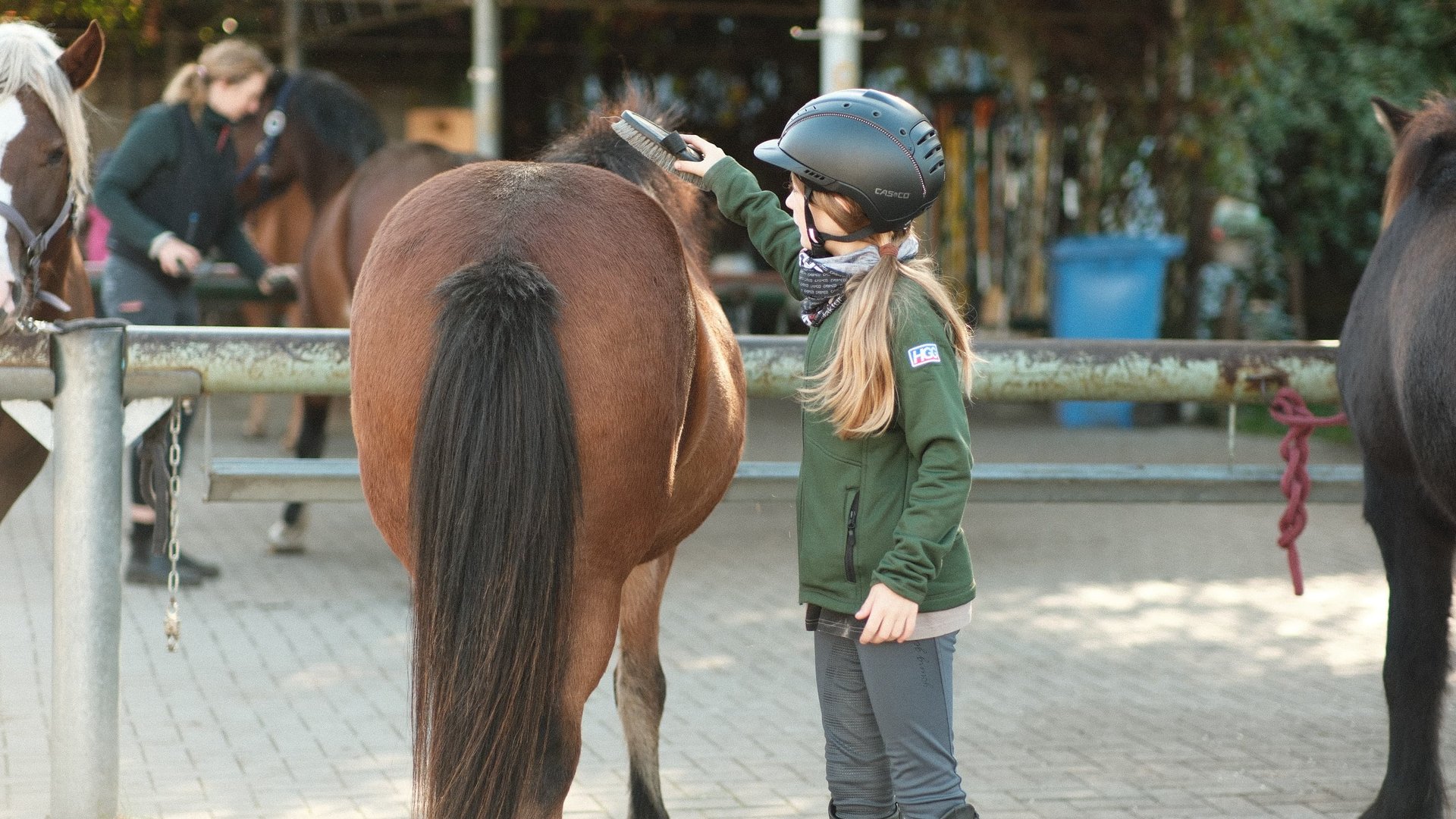 Auch die Pferdepflege darf nicht fehlen!
©Reiter- und Erlebnisbauernhof Groß Briesen GmbH
