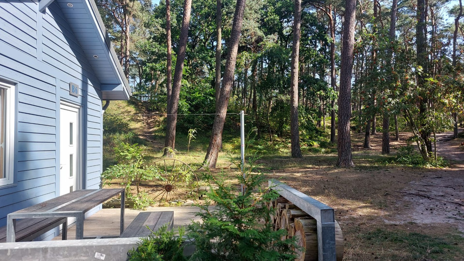 Blick von der Jugendunterkunft in den Wald
