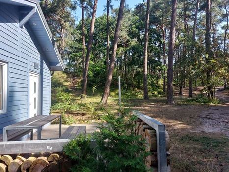 Blick von der Jugendunterkunft in den Wald