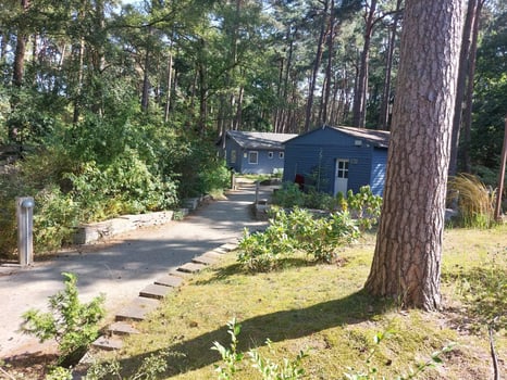 Ferienhäuser im Kiefernwald von Trassenheide