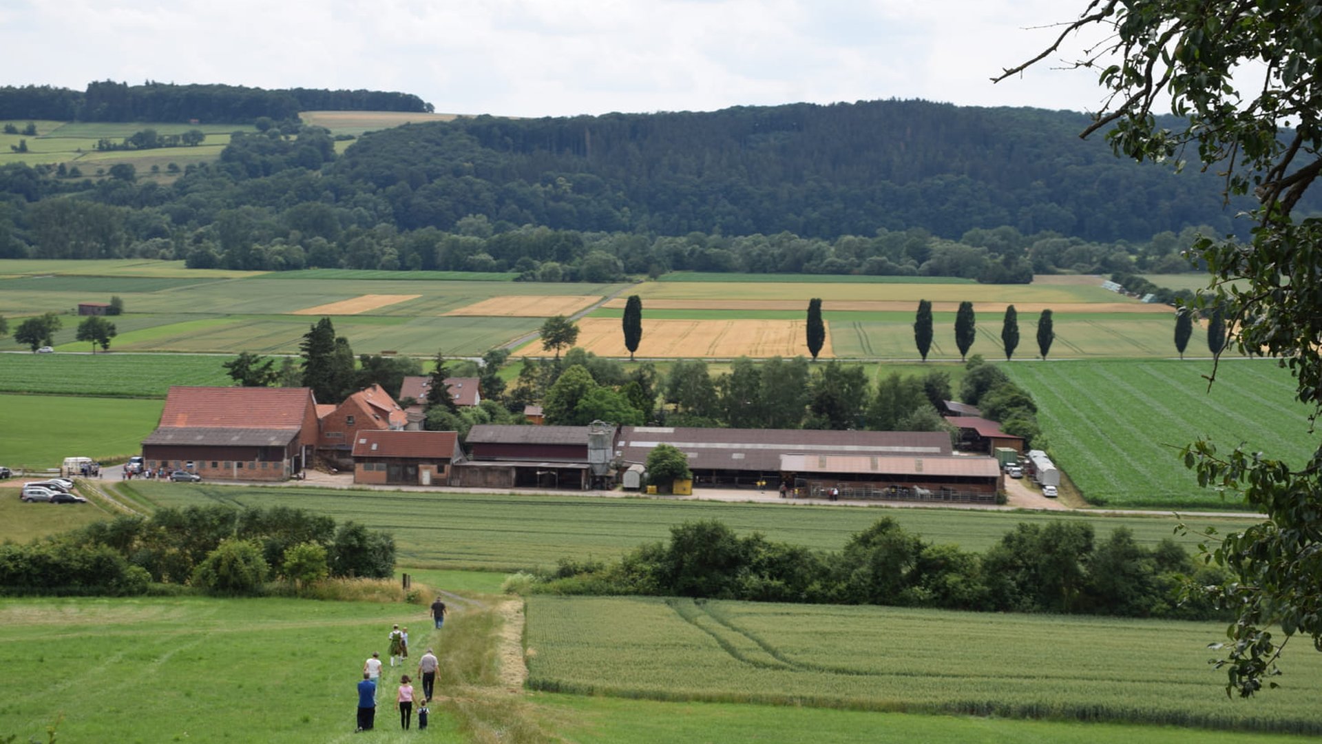 Blick auf dem Stall