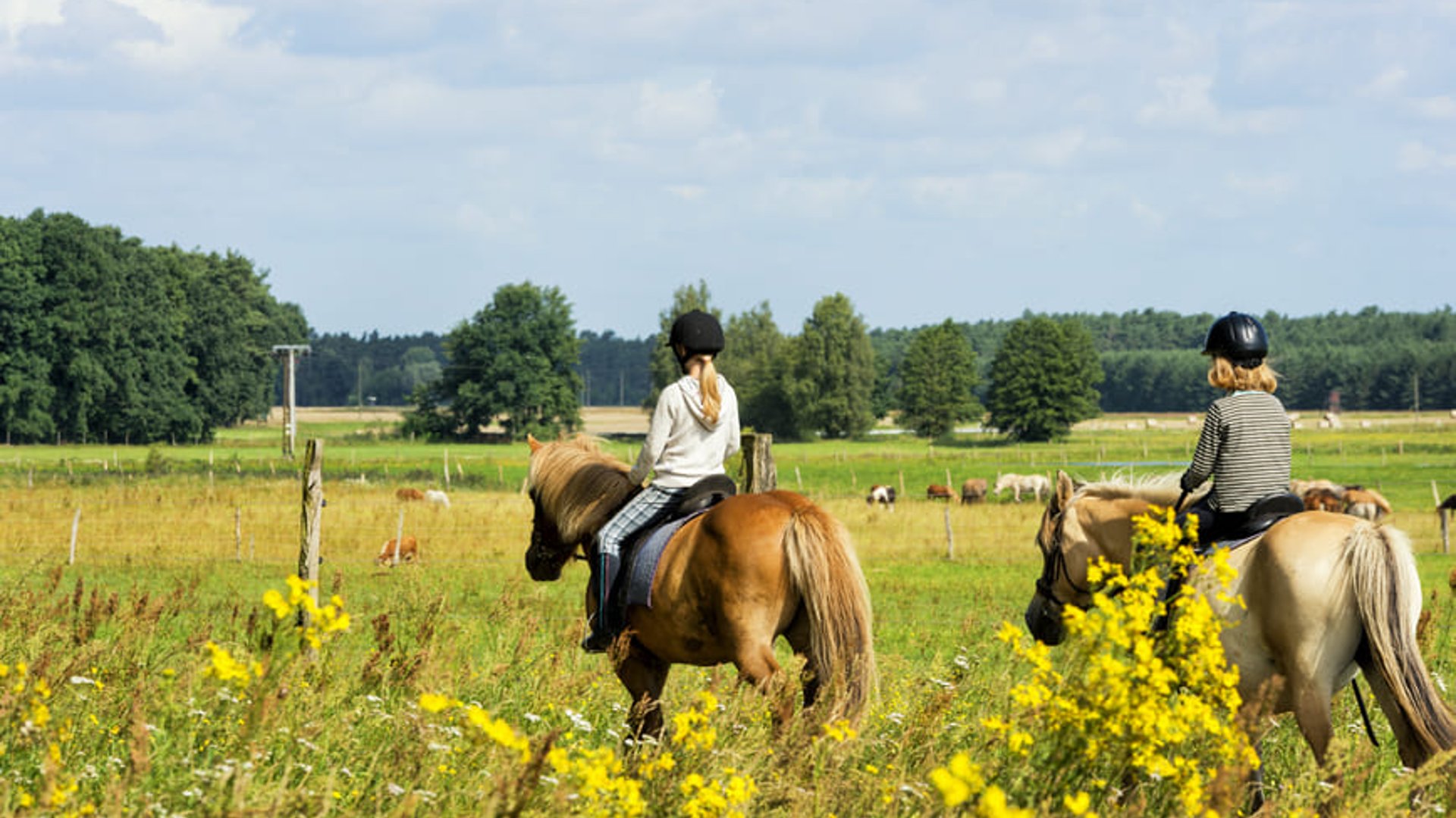 Zwei Kinder beim Reiten im Ferienlager