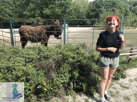 Tiere im Zoo