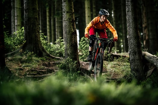 Mit dem Rad durch den Wald