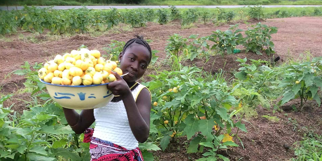 Help Fight Hunger | Bread and Water for Africa