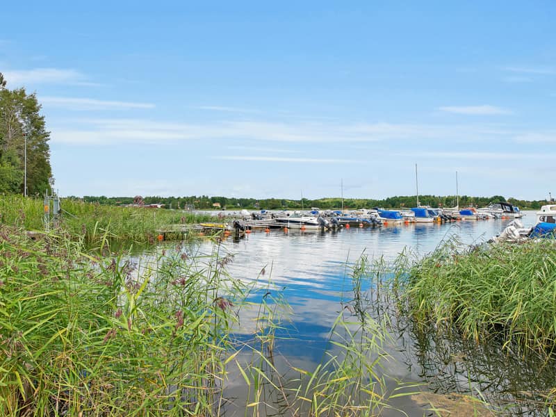 Enviken småbåtshamn