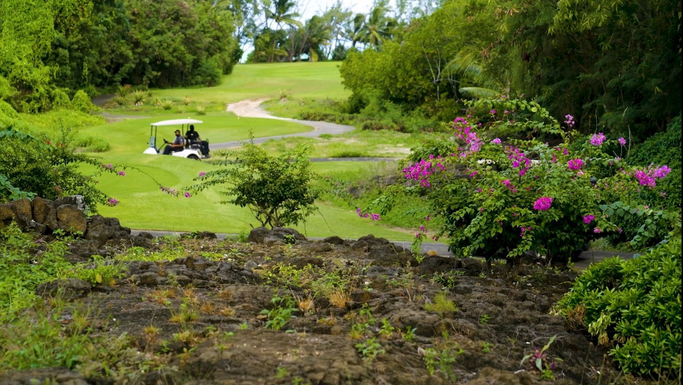 IIe aux Cerfs Golf Club ihrisko
