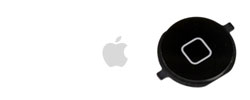 iPod Touch Home Button does not click. Picture of iPod Touch Home Button Repair.