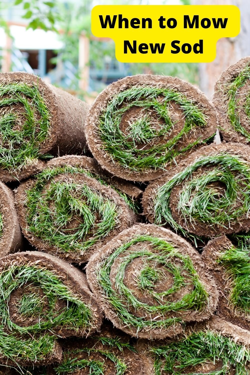 Make A Statement With These Popular Color Schemes