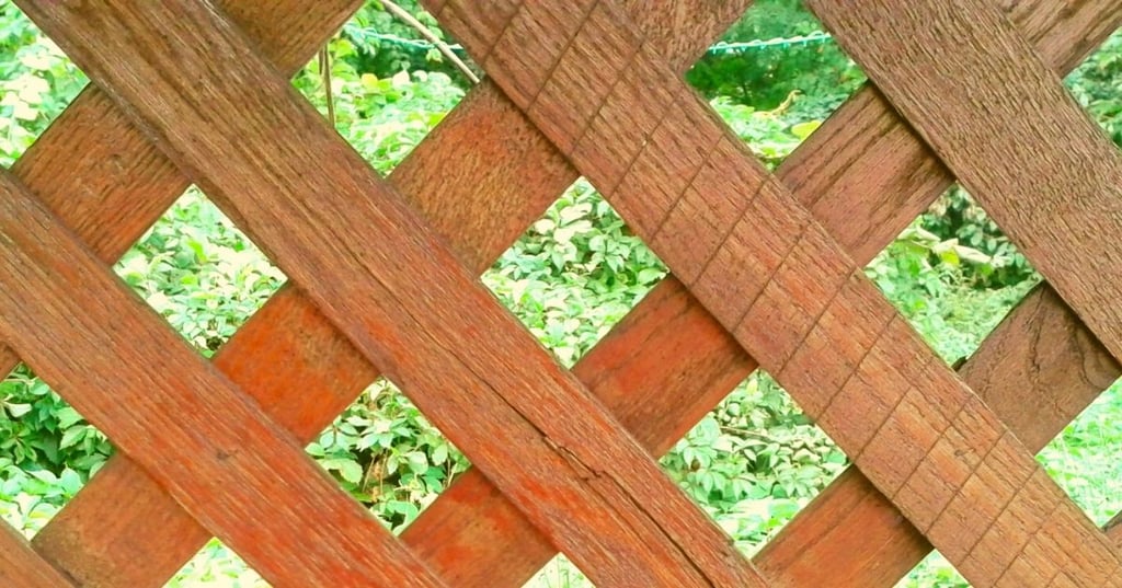 turn your yard into a private oasis with a lattice fence