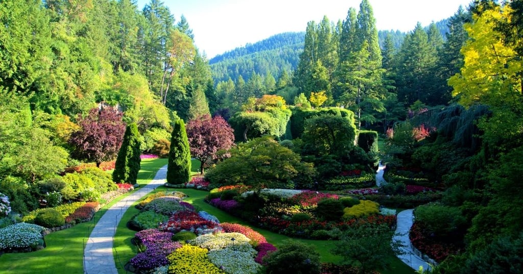 Create a Beautiful Garden in No Time with Fast Growing Trees