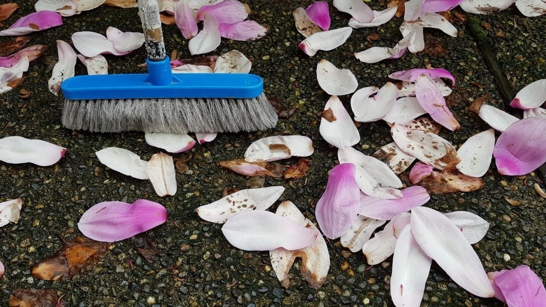 What You Will Need to Clean Concrete Patio