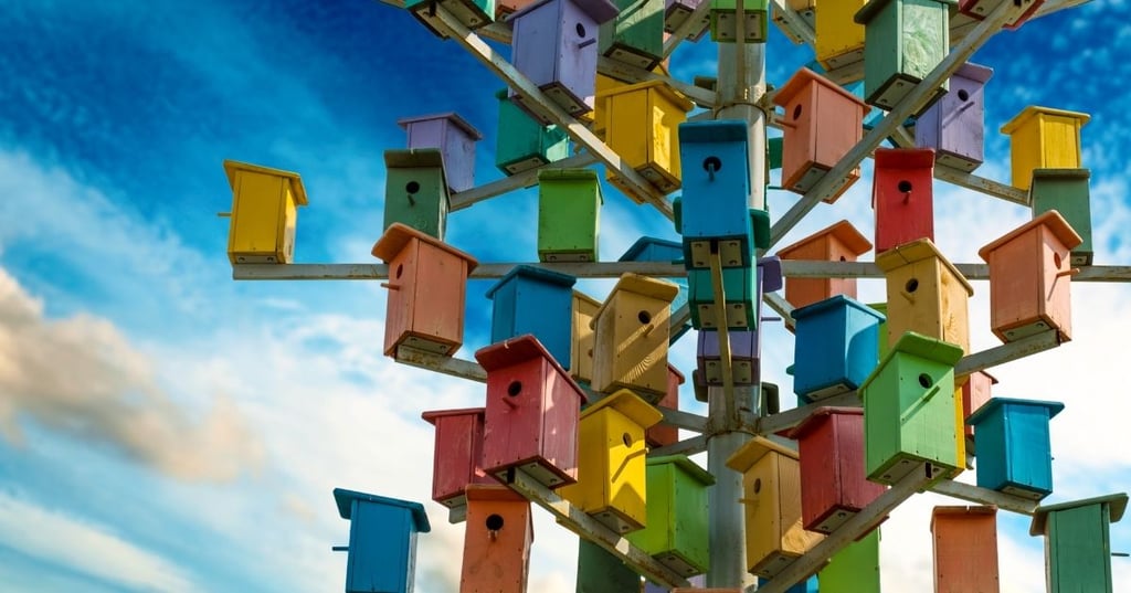 What Else Can You Do to Help attract Birds to Your Birdhouse