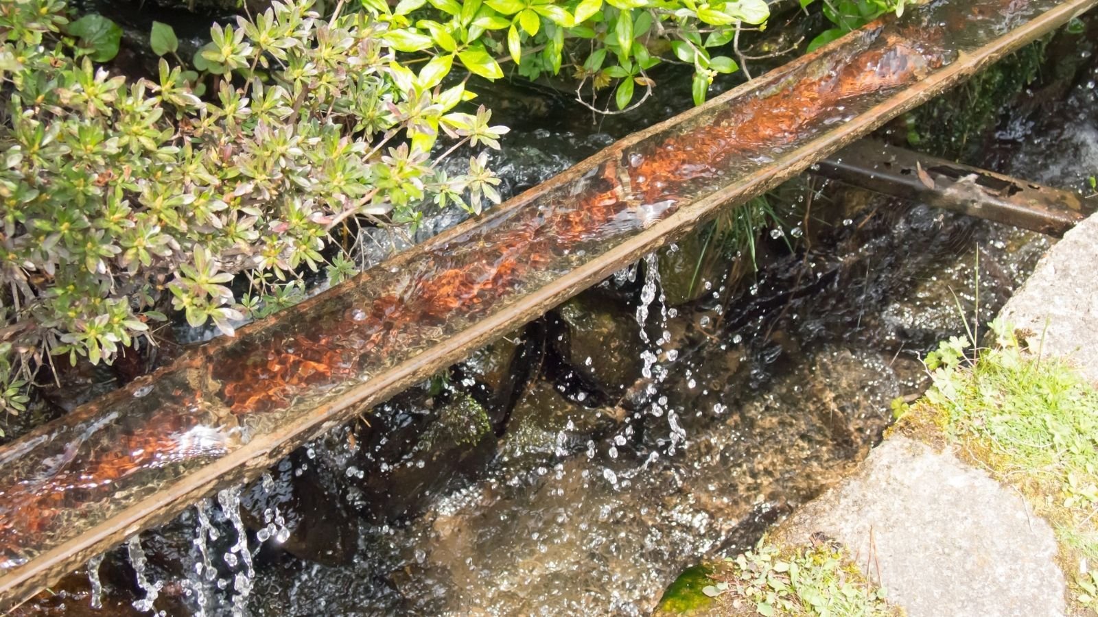 Front Yard Landscaping Ideas with Water Features.
